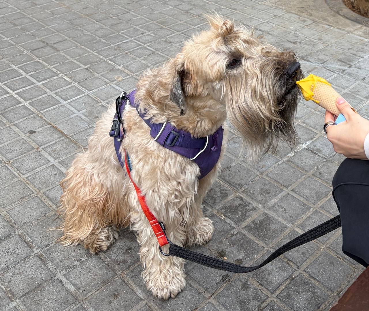 Выход из дома - 100€