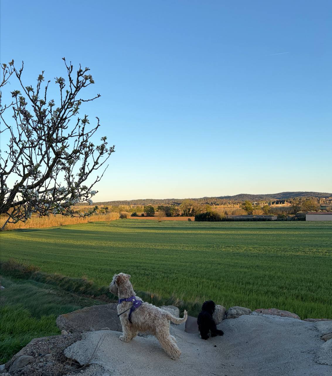 Укатили в подБарселонье на выходные, точне в подЖиронье))
