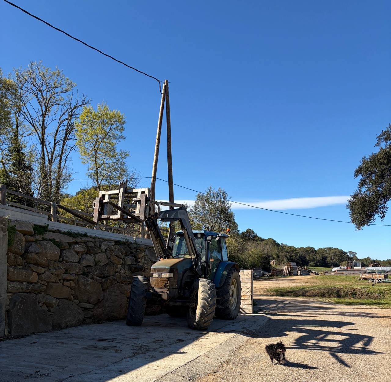 Слово «Айтишник».