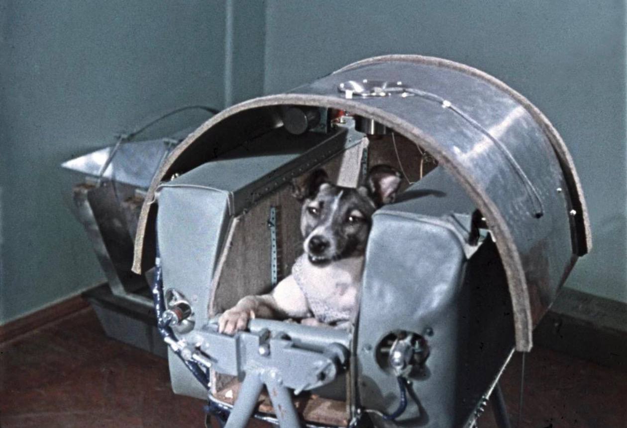 Воистину С Днём Хвостовнавтики! 🚀