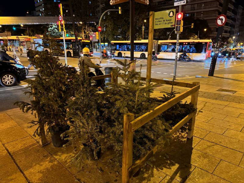 Ёлочка разобрана и сдана 🤓