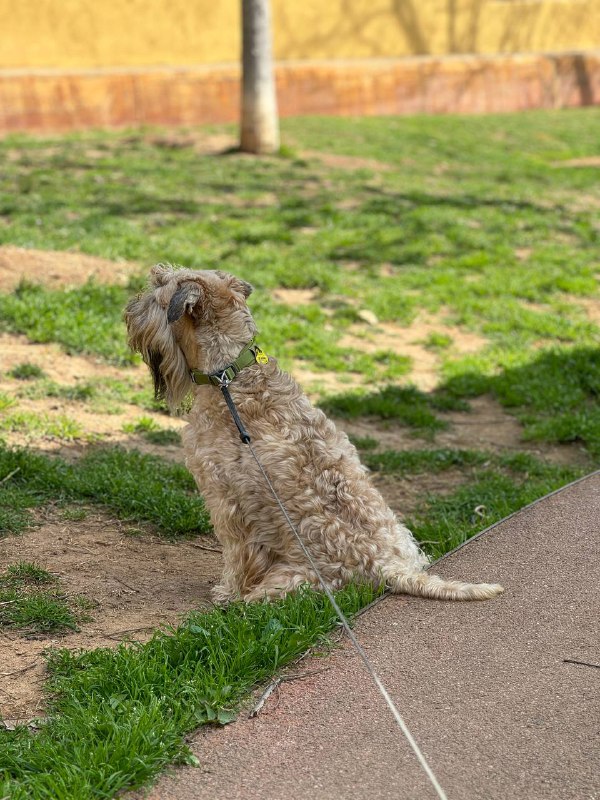 Патрику уже жарко, а «зима» кончается на  следующей неделе в Испании