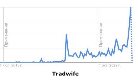 Традиционная жена / Tradwife - новый тренд в соцсетях