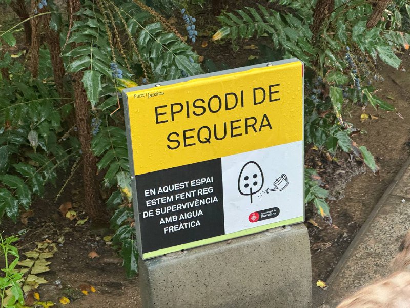 ✅ Прогуляться под весенним дождем