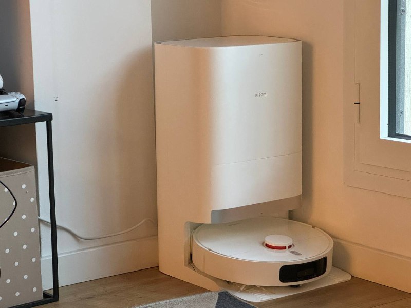 Вильма - живет теперь с нами)