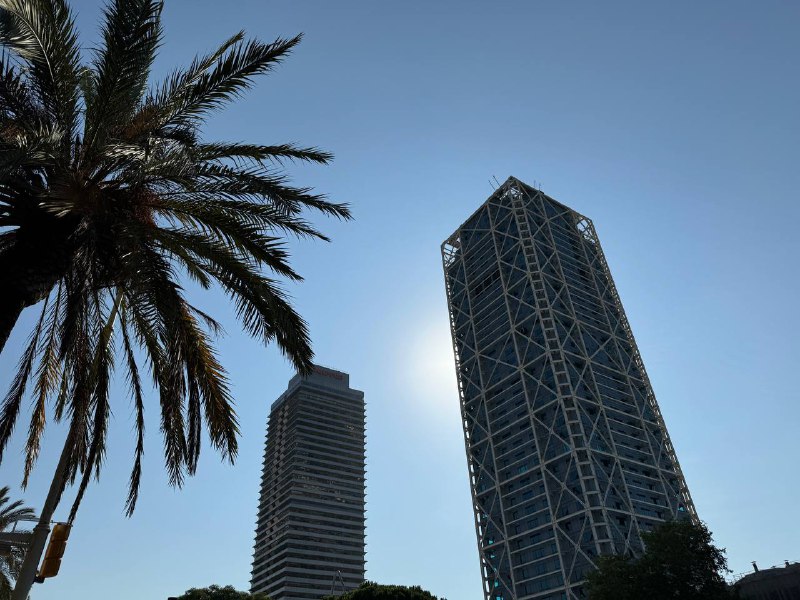 Чтобы взять ситу на отпечатки без проблем