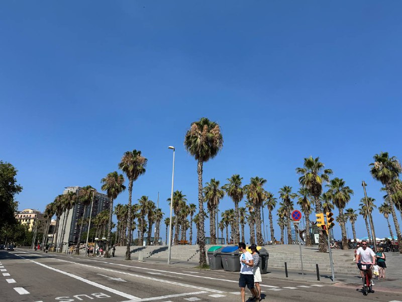 Проблема с зарплатами Тимлидов