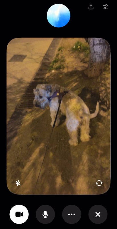 ⚡️ Сегодня Видеообщение стало доступно людям в Европе