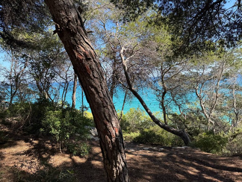 Голые и смешные (иногда). Пост про Cala *