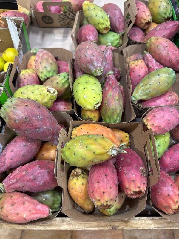 Мыши плакали, кололись, но продолжали жрать кактус