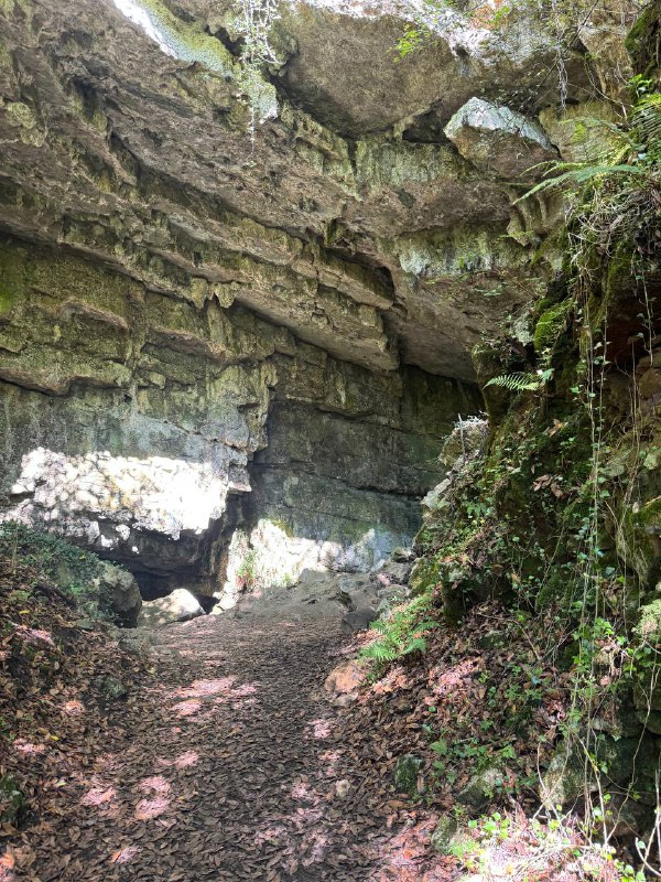 Прогулялись на 20.000 лет назад