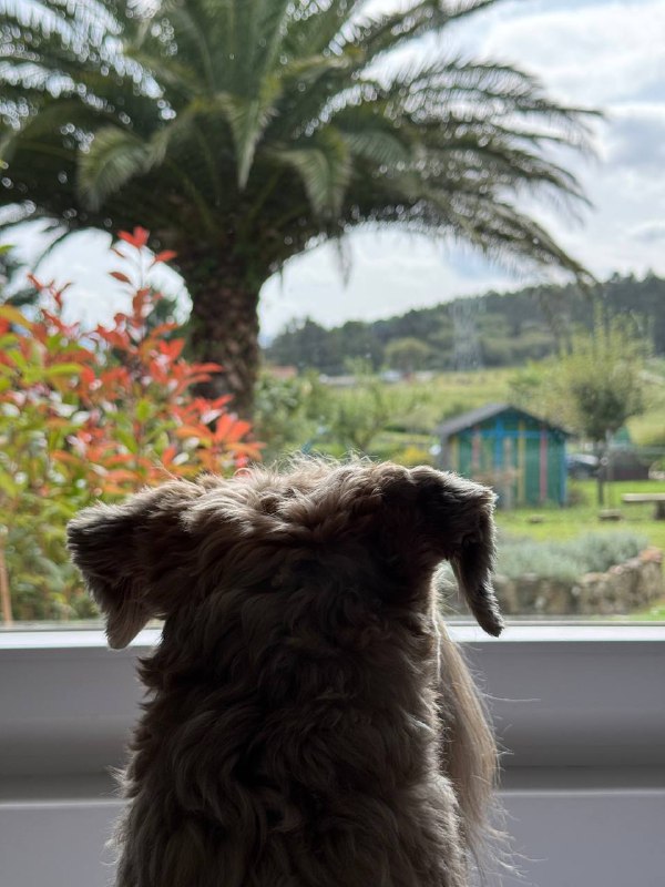 Че то США мне уже не нравится