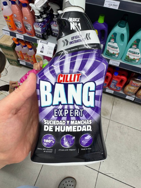 Болит голова от плесени в квартире