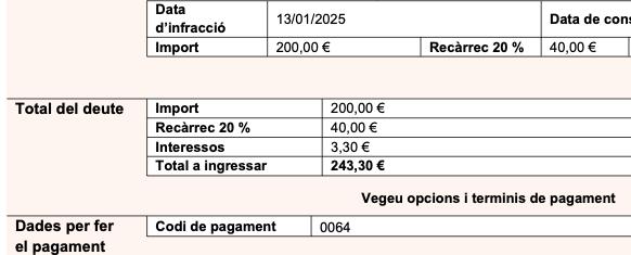 Оплатил штраф 243 евро за неправильную остановку