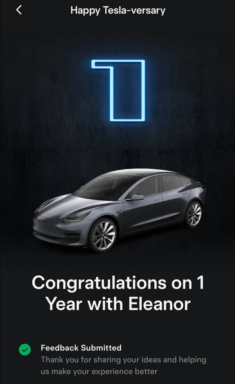 Фидбек Тесле спустя год владения