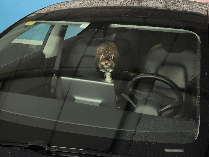 Бесплатный Glovo Prime и Абьюзеры бонусов в iGaming